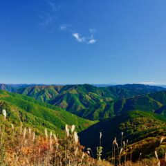 紅葉の伊吹山/Autumn leaves at Mt. Ibuki
