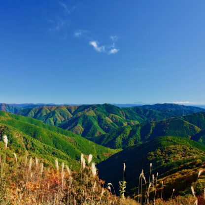 紅葉の伊吹山/Autumn leaves at Mt. Ibuki