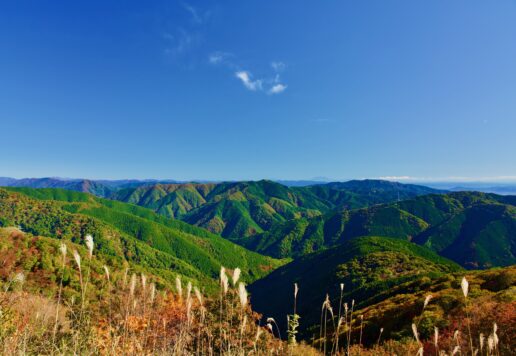 紅葉の伊吹山/Autumn leaves at Mt. Ibuki