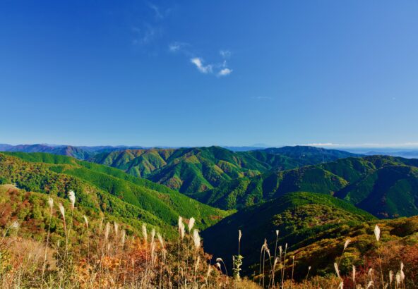 紅葉の伊吹山/Autumn leaves at Mt. Ibuki